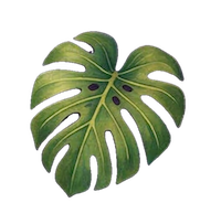 Leaf icon