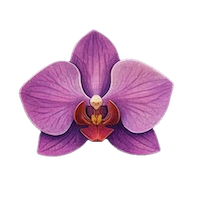 Orchid icon